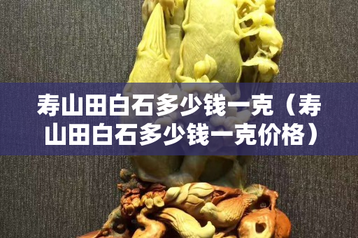 壽山田白石多少錢一克（壽山田白石多少錢一克價格）
