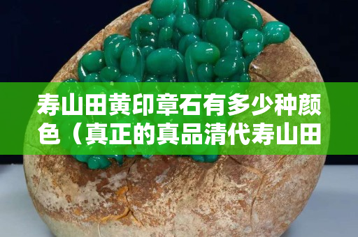 壽山田黃印章石有多少種顏色（真正的真品清代壽山田黃印章）