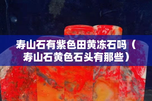 壽山石有紫色田黃凍石嗎（壽山石黃色石頭有那些）