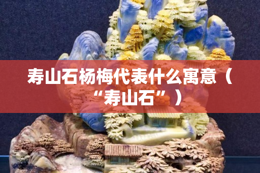 壽山石楊梅代表什么寓意（“壽山石”）