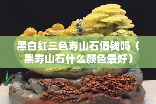 黑白紅三色壽山石值錢嗎（黑壽山石什么顏色最好）