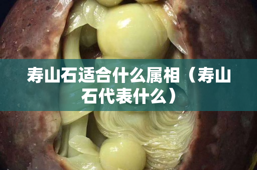 壽山石適合什么屬相（壽山石代表什么）