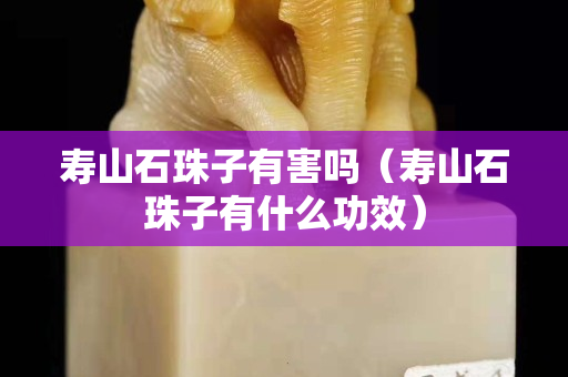 壽山石珠子有害嗎（壽山石珠子有什么功效）