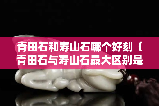 青田石和壽山石哪個好刻（青田石與壽山石最大區(qū)別是什么）