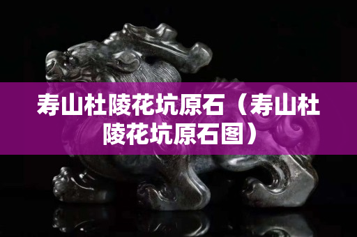 壽山杜陵花坑原石（壽山杜陵花坑原石圖）