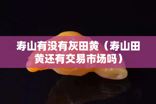 壽山有沒有灰田黃（壽山田黃還有交易市場嗎）