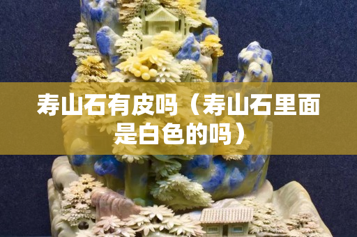 壽山石有皮嗎（壽山石里面是白色的嗎）