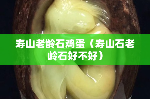 壽山老齡石雞蛋（壽山石老嶺石好不好）
