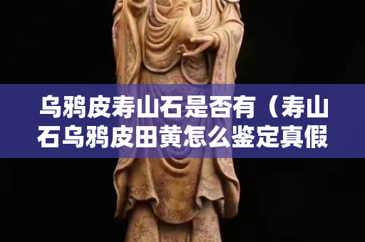 烏鴉皮壽山石是否有（壽山石烏鴉皮田黃怎么鑒定真假）