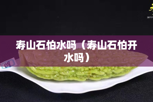 壽山石怕水嗎（壽山石怕開水嗎）