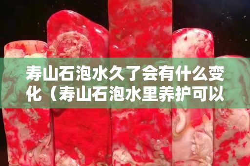 壽山石泡水久了會有什么變化（壽山石泡水里養護可以嗎）