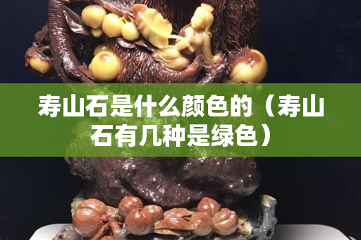 壽山石是什么顏色的（壽山石有幾種是綠色）