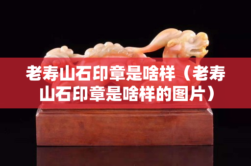 老壽山石印章是啥樣（老壽山石印章是啥樣的圖片）