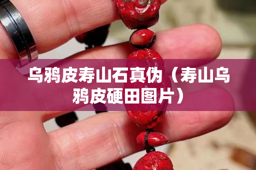 烏鴉皮壽山石真偽（壽山烏鴉皮硬田圖片）
