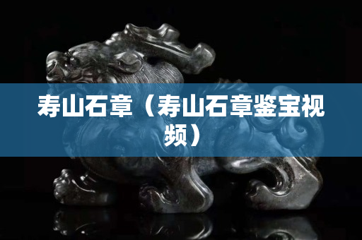 壽山石章（壽山石章鑒寶視頻）