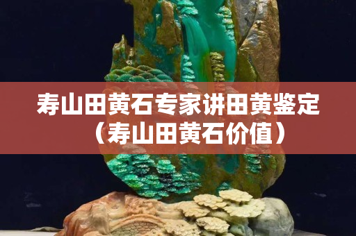 壽山田黃石專家講田黃鑒定（壽山田黃石價值）