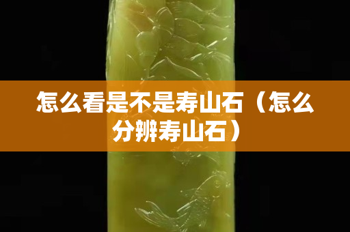 怎么看是不是壽山石（怎么分辨壽山石）