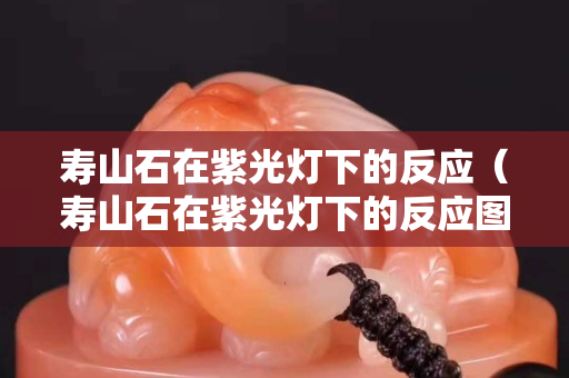 壽山石在紫光燈下的反應（壽山石在紫光燈下的反應圖片）