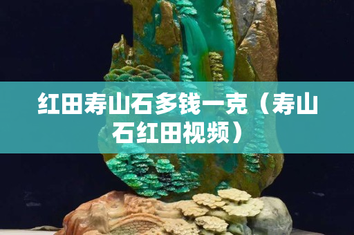 紅田壽山石多錢一克（壽山石紅田視頻）