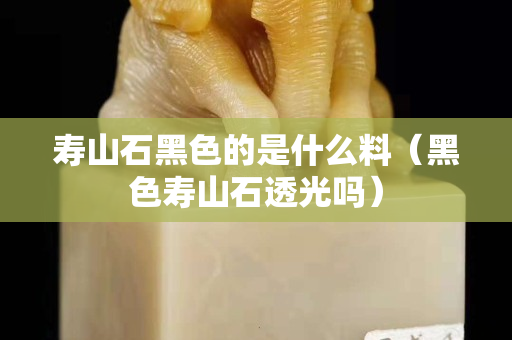 壽山石黑色的是什么料（黑色壽山石透光嗎）