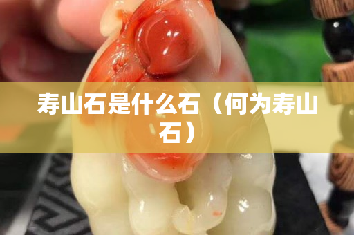 壽山石是什么石（何為壽山石）
