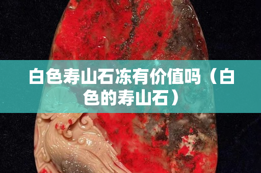 白色壽山石凍有價值嗎（白色的壽山石）