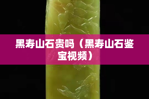 黑壽山石貴嗎（黑壽山石鑒寶視頻）