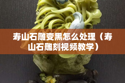 壽山石雕變黑怎么處理（壽山石雕刻視頻教學）