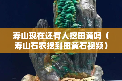 壽山現在還有人挖田黃嗎（壽山石農挖到田黃石視頻）