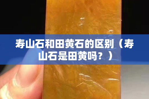 壽山石和田黃石的區(qū)別（壽山石是田黃嗎？）