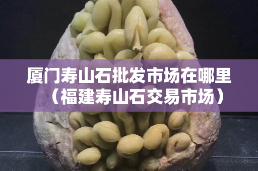 廈門壽山石批發(fā)市場(chǎng)在哪里（福建壽山石交易市場(chǎng)）