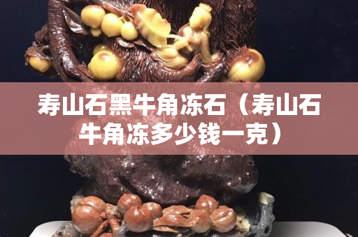 壽山石黑牛角凍石（壽山石牛角凍多少錢一克）