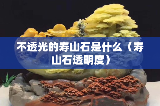 不透光的壽山石是什么（壽山石透明度）