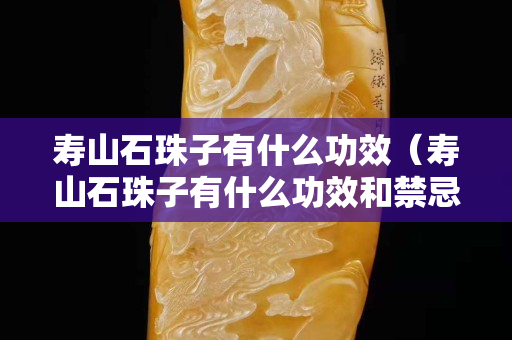 壽山石珠子有什么功效（壽山石珠子有什么功效和禁忌）