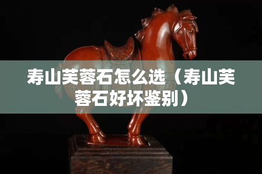 壽山芙蓉石怎么選（壽山芙蓉石好壞鑒別）