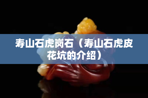 壽山石虎崗石（壽山石虎皮花坑的介紹）