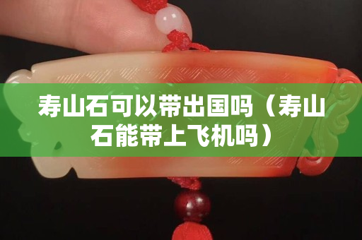 壽山石可以帶出國嗎（壽山石能帶上飛機(jī)嗎）