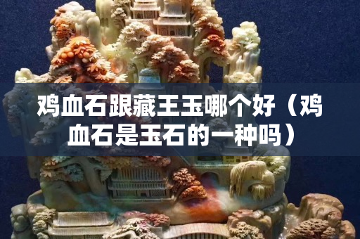 雞血石跟藏王玉哪個(gè)好（雞血石是玉石的一種嗎）