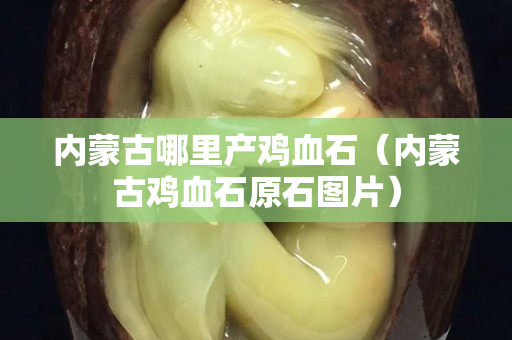 內(nèi)蒙古哪里產(chǎn)雞血石（內(nèi)蒙古雞血石原石圖片）