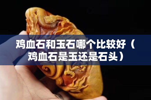 雞血石和玉石哪個比較好（雞血石是玉還是石頭）