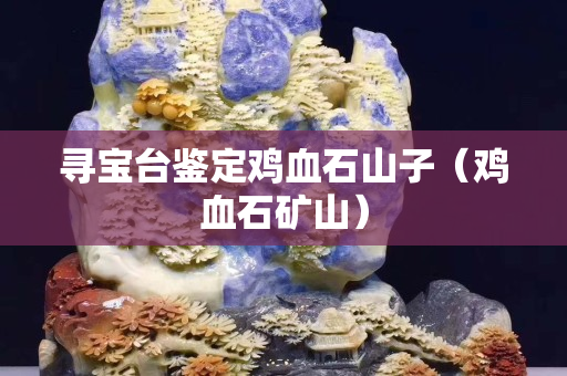 尋寶臺鑒定雞血石山子（雞血石礦山）