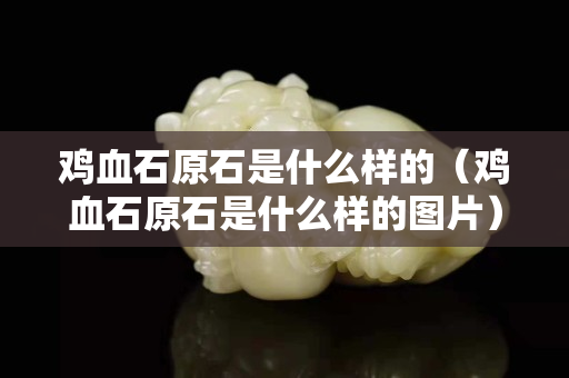 雞血石原石是什么樣的（雞血石原石是什么樣的圖片）