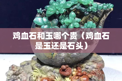 雞血石和玉哪個貴（雞血石是玉還是石頭）