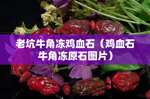 老坑牛角凍雞血石（雞血石牛角凍原石圖片）