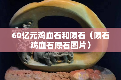 60億元雞血石和隕石（隕石雞血石原石圖片）