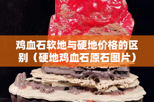 雞血石軟地與硬地價格的區(qū)別（硬地雞血石原石圖片）