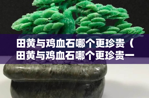 田黃與雞血石哪個更珍貴（田黃與雞血石哪個更珍貴一點）