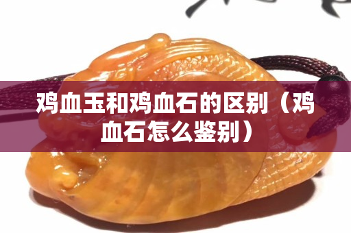 雞血玉和雞血石的區別（雞血石怎么鑒別）