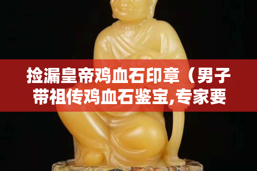 撿漏皇帝雞血石印章（男子帶祖傳雞血石鑒寶,專家要上交）