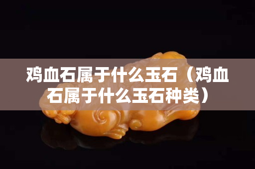 雞血石屬于什么玉石（雞血石屬于什么玉石種類）